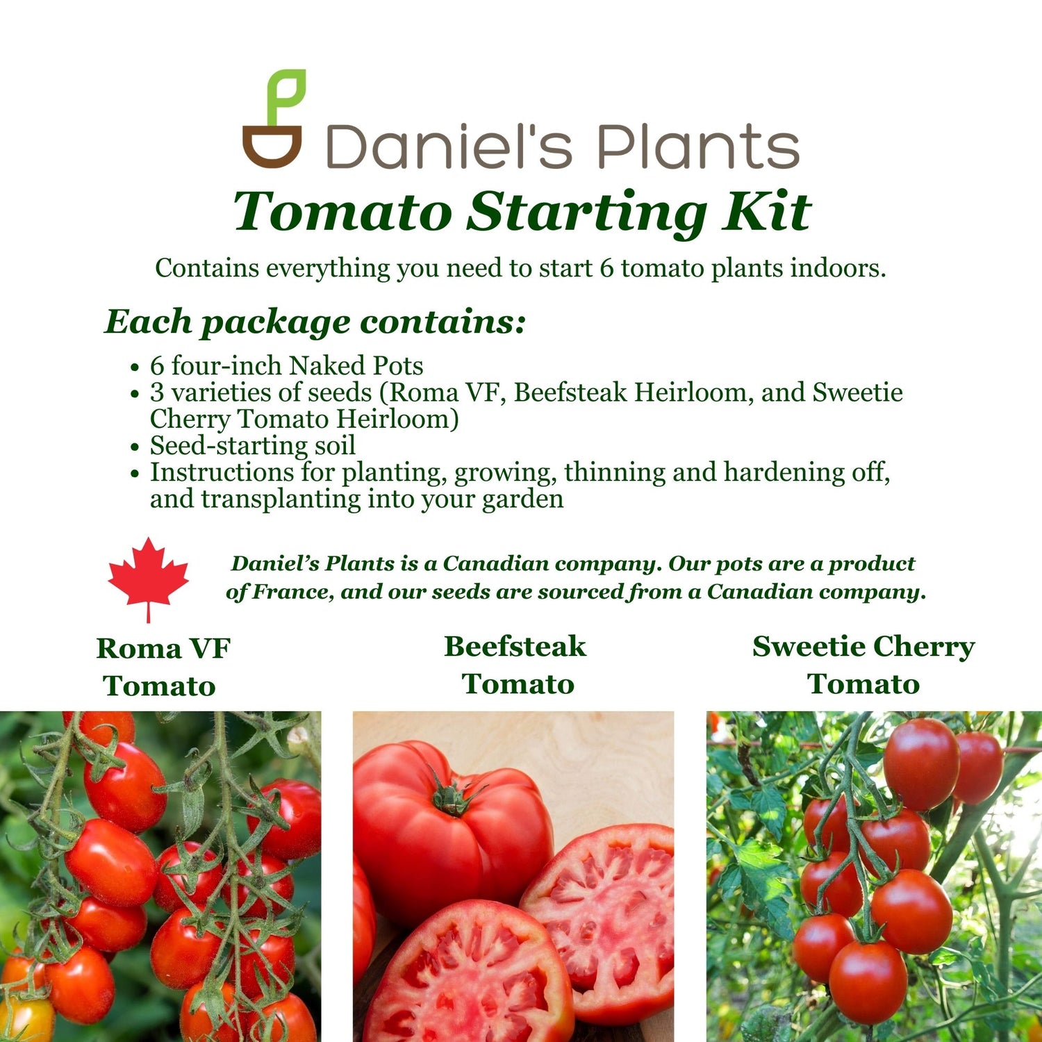 Tomato Starting Kit | Roma, Beefsteak and Sweetie Cherry Tomato | Start 6 Tomato Plants | Includes Seed, Soil, Pots and Instructional Guide