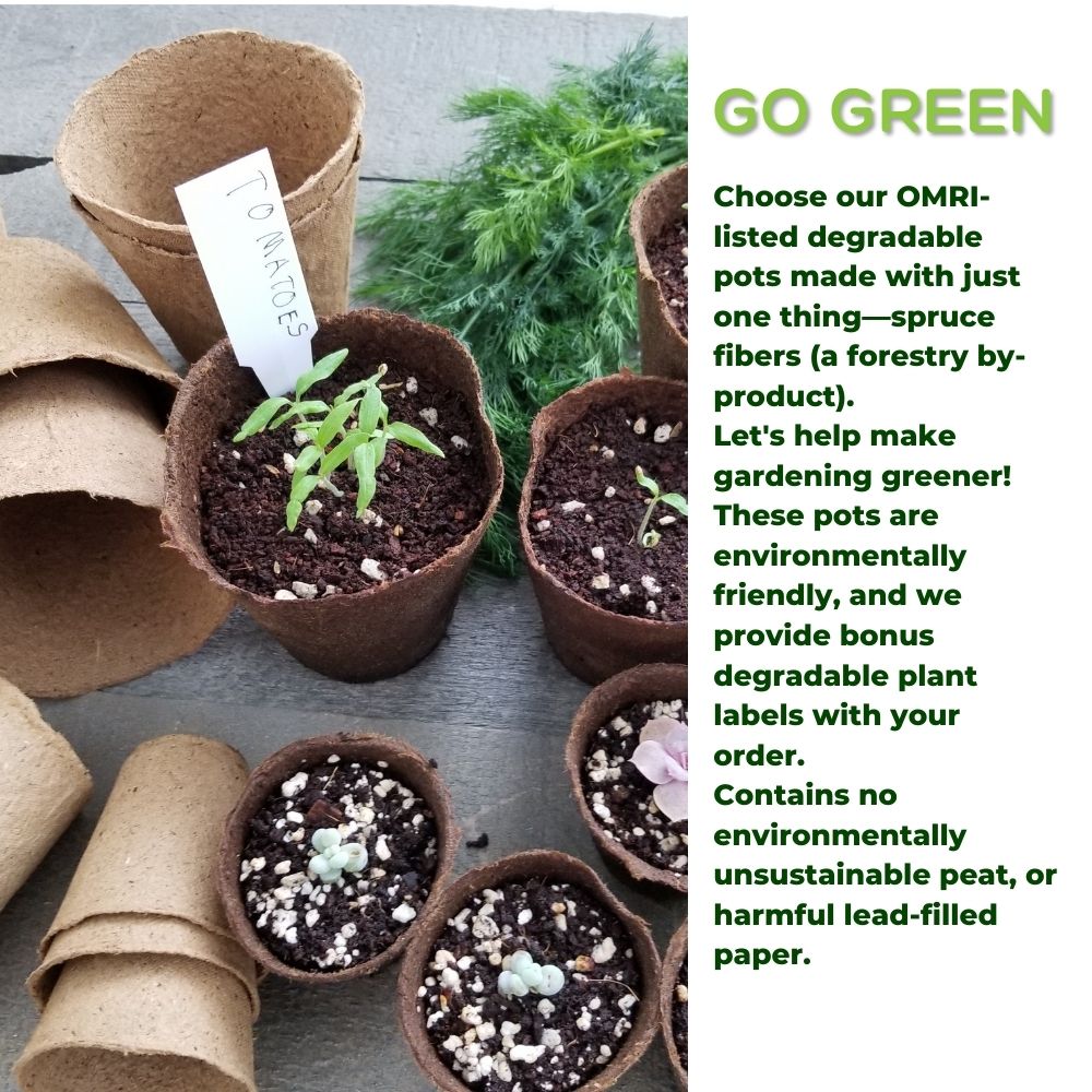 4" Naked Pots | Plantable Seed Starter Pots - Organic & Biodegradable