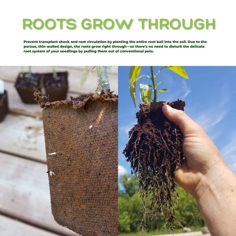 4" Naked Pots | Plantable Seed Starter Pots - Organic & Biodegradable
