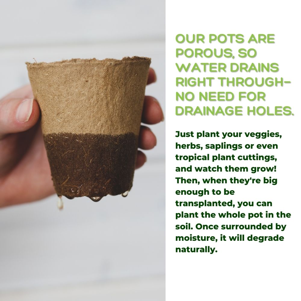 4" Naked Pots | Plantable Seed Starter Pots - Organic & Biodegradable