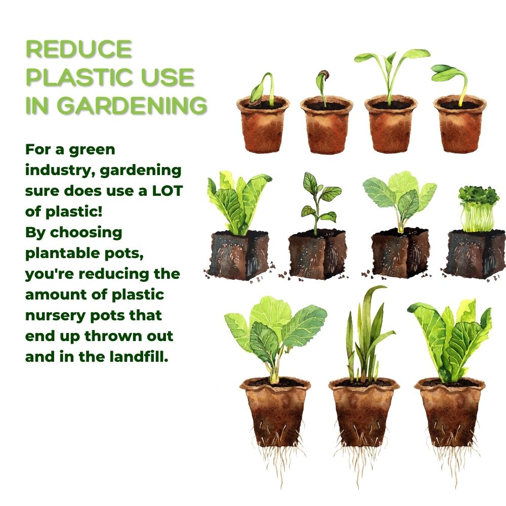 4" Naked Pots | Plantable Seed Starter Pots - Organic & Biodegradable