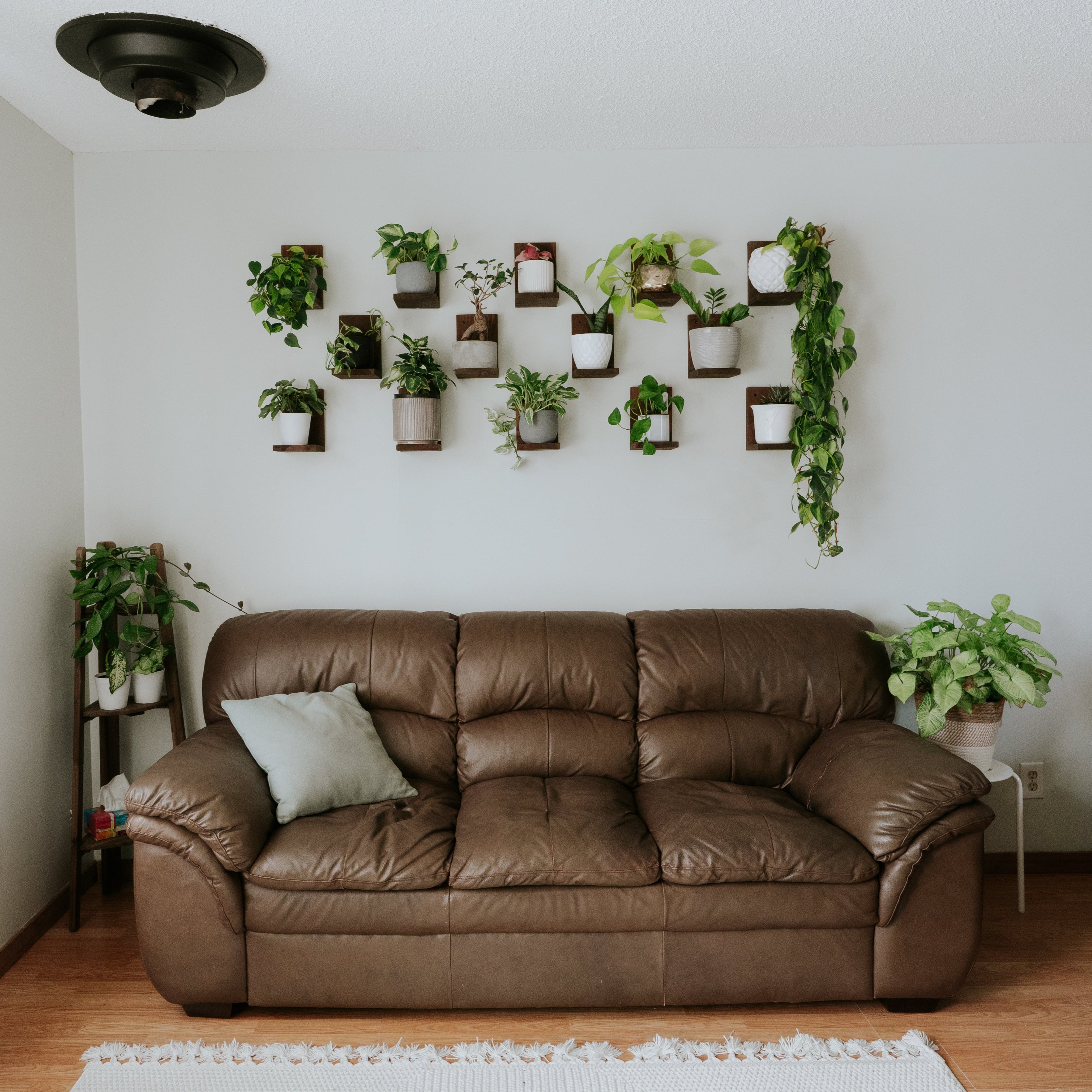 Wall Mounted Solid Wood Gallery Wall Plant Shelf — Woodland Brown (3 pack)