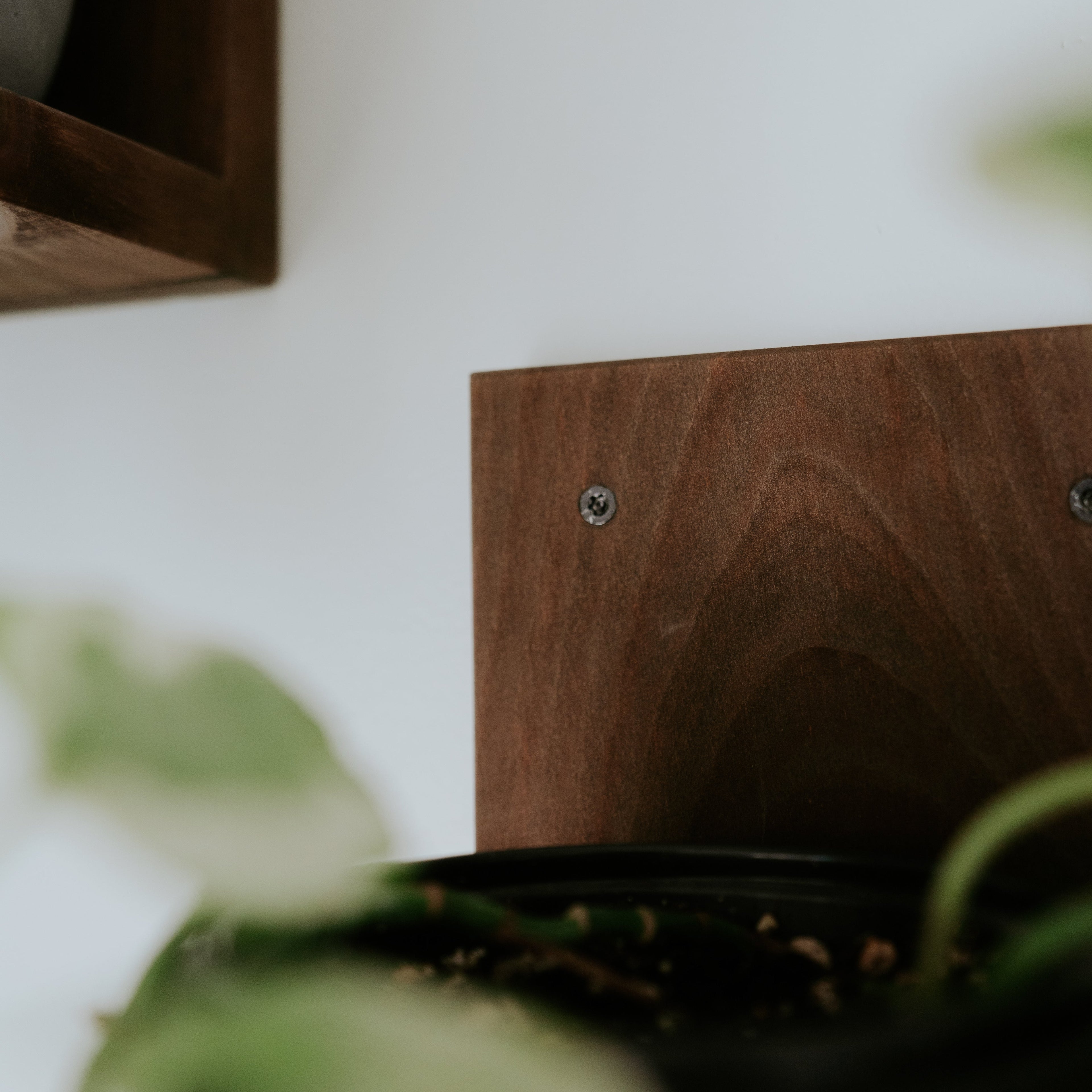 Wall Mounted Solid Wood Gallery Wall Plant Shelf — Woodland Brown (3 pack)