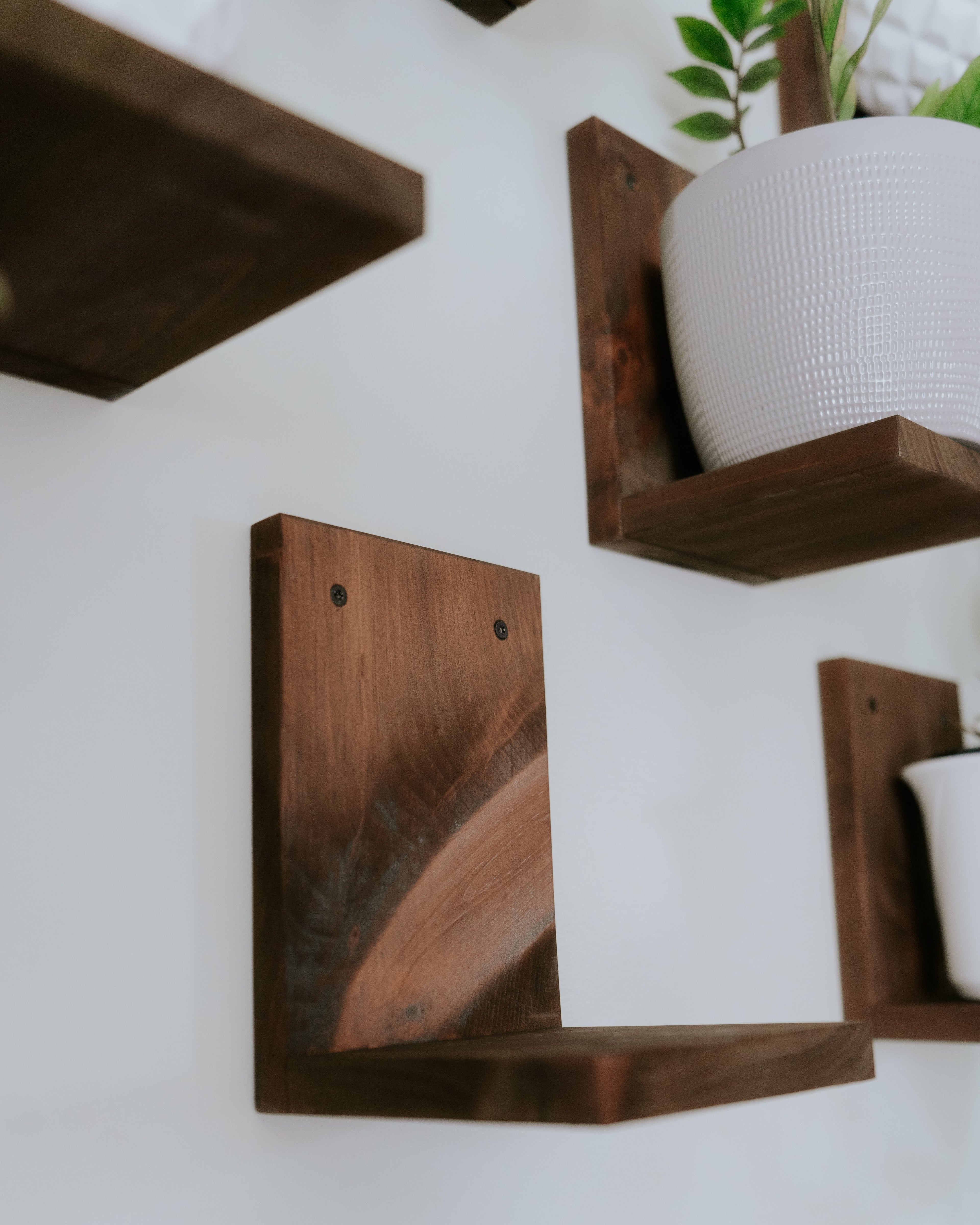 Wall Mounted Solid Wood Gallery Wall Plant Shelf — Woodland Brown (3 pack)
