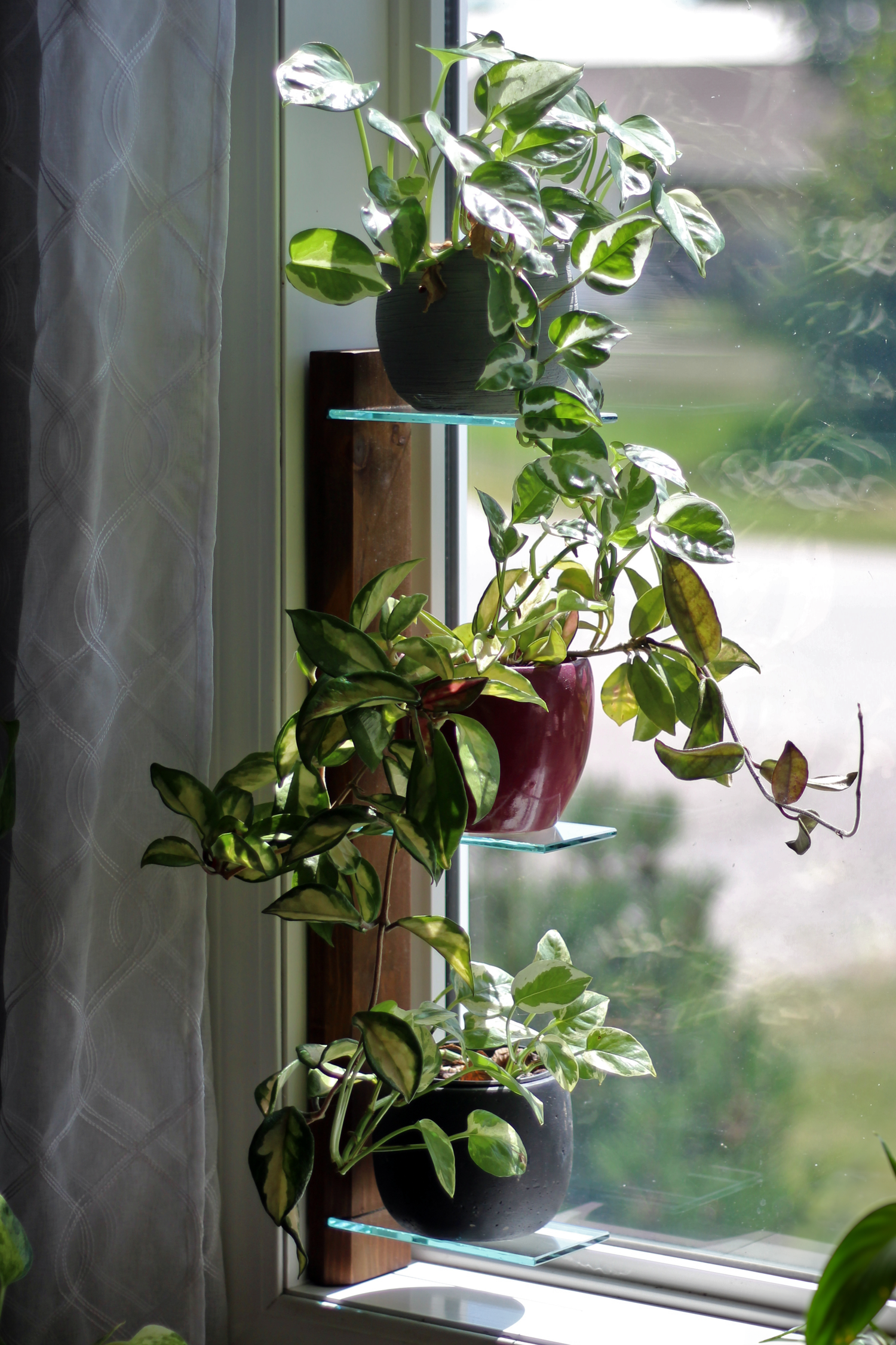 Renter-Friendly Window Shelf | Prairie Sand with Tempered Glass