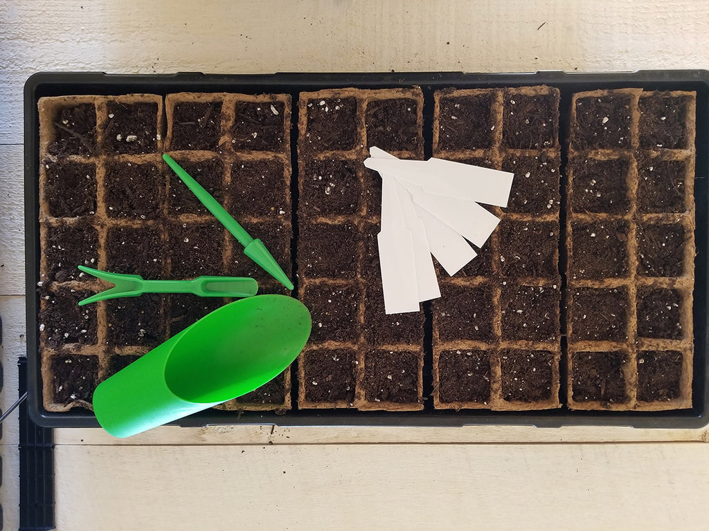 A step-by-step guide to starting basil seeds in Daniel's Plants biodegradable peat pot trays