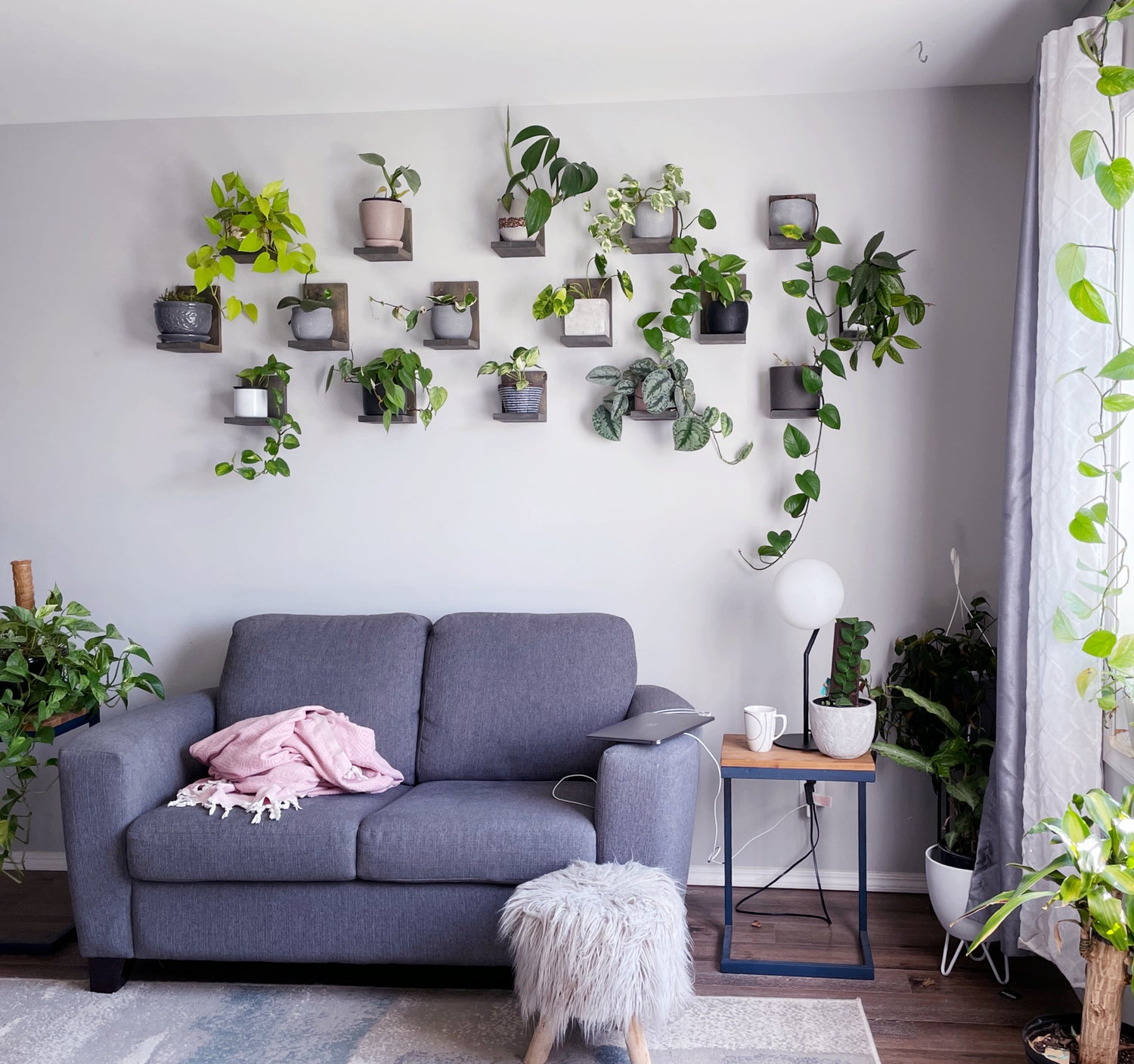 5 Steps to Creating a Gallery Plant Wall