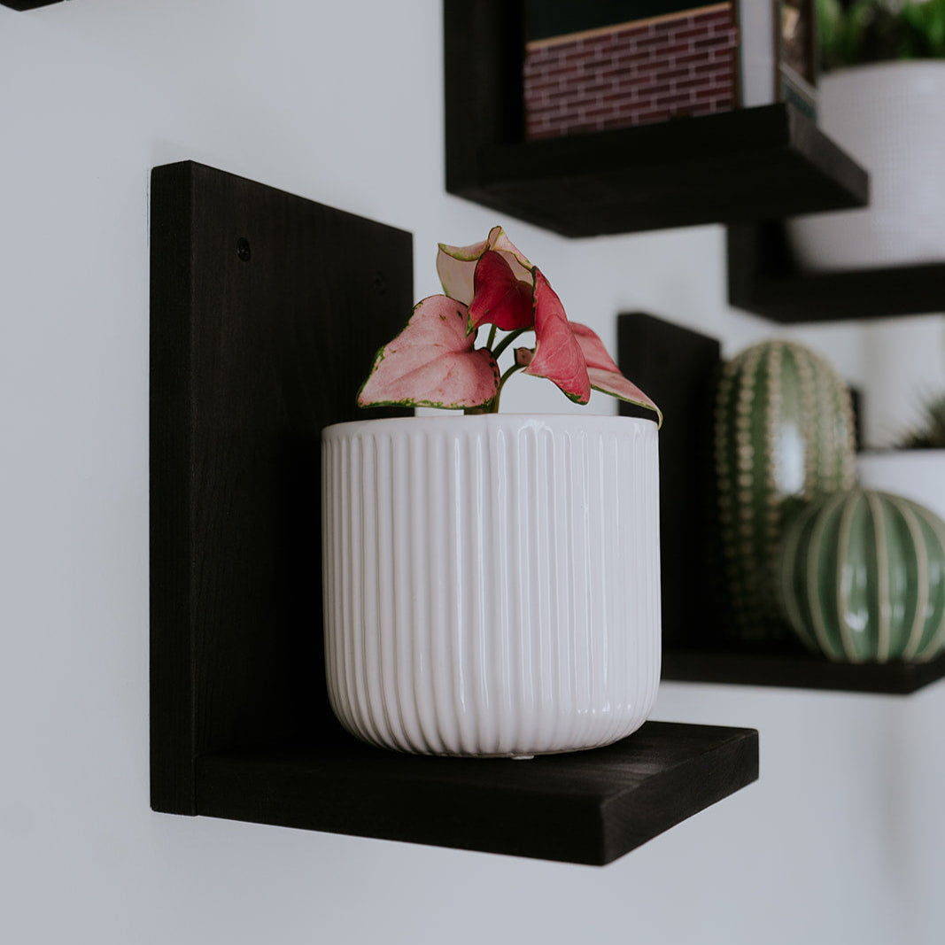 Wall Mounted Solid Wood Gallery Wall Plant Shelf — Midnight Black (3 pack)