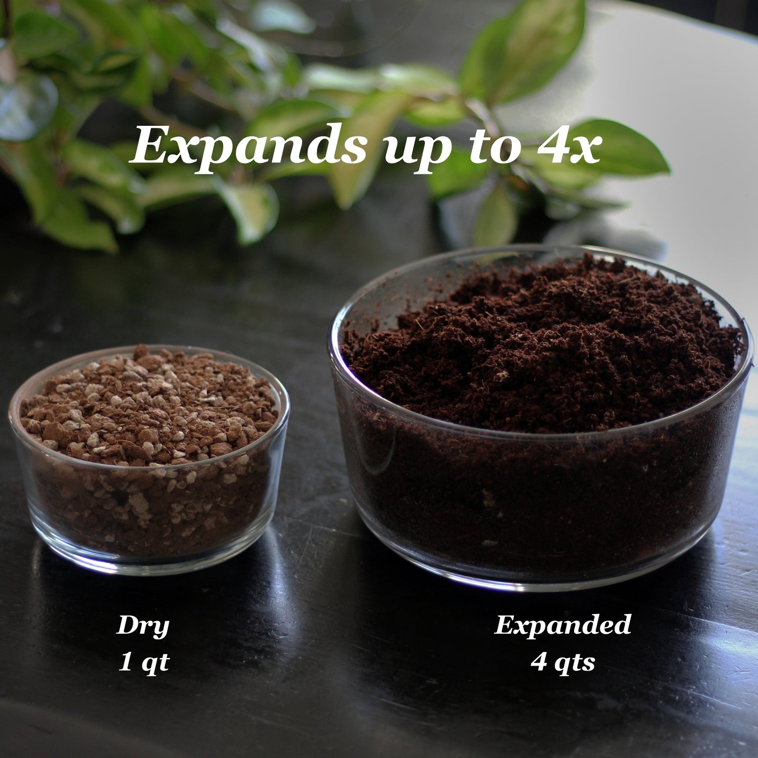 Indoor Potting Mix – Expands up to 10 Quarts, Enriched with Kelp, Worm Castings &amp; Microorganisms for Healthy Growth, Aeration &amp; Moisture Control