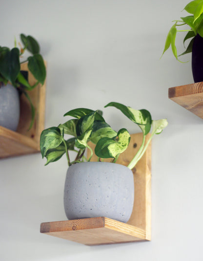 house plant wall shelves Unstained Plant Shelves: Showcase Your Plants with Elegance