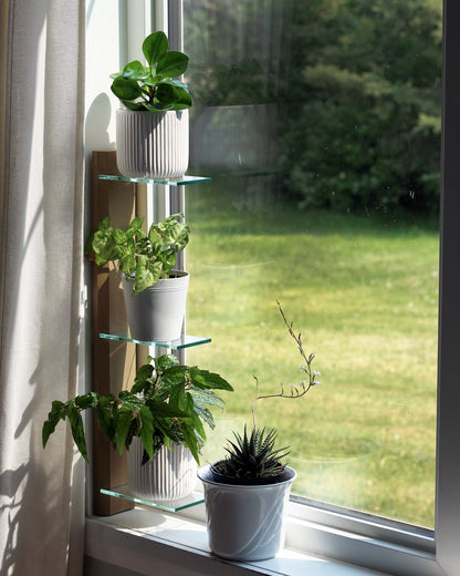 window hanging plant shelf Prairie Sand Window Shelf – Renter-Friendly Windowsill Plant Shelf