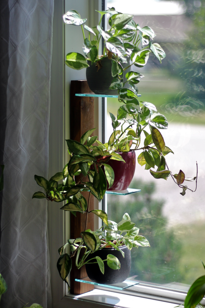 window shelves for indoor plants Prairie Sand Window Shelf – Renter-Friendly Windowsill Plant Shelf