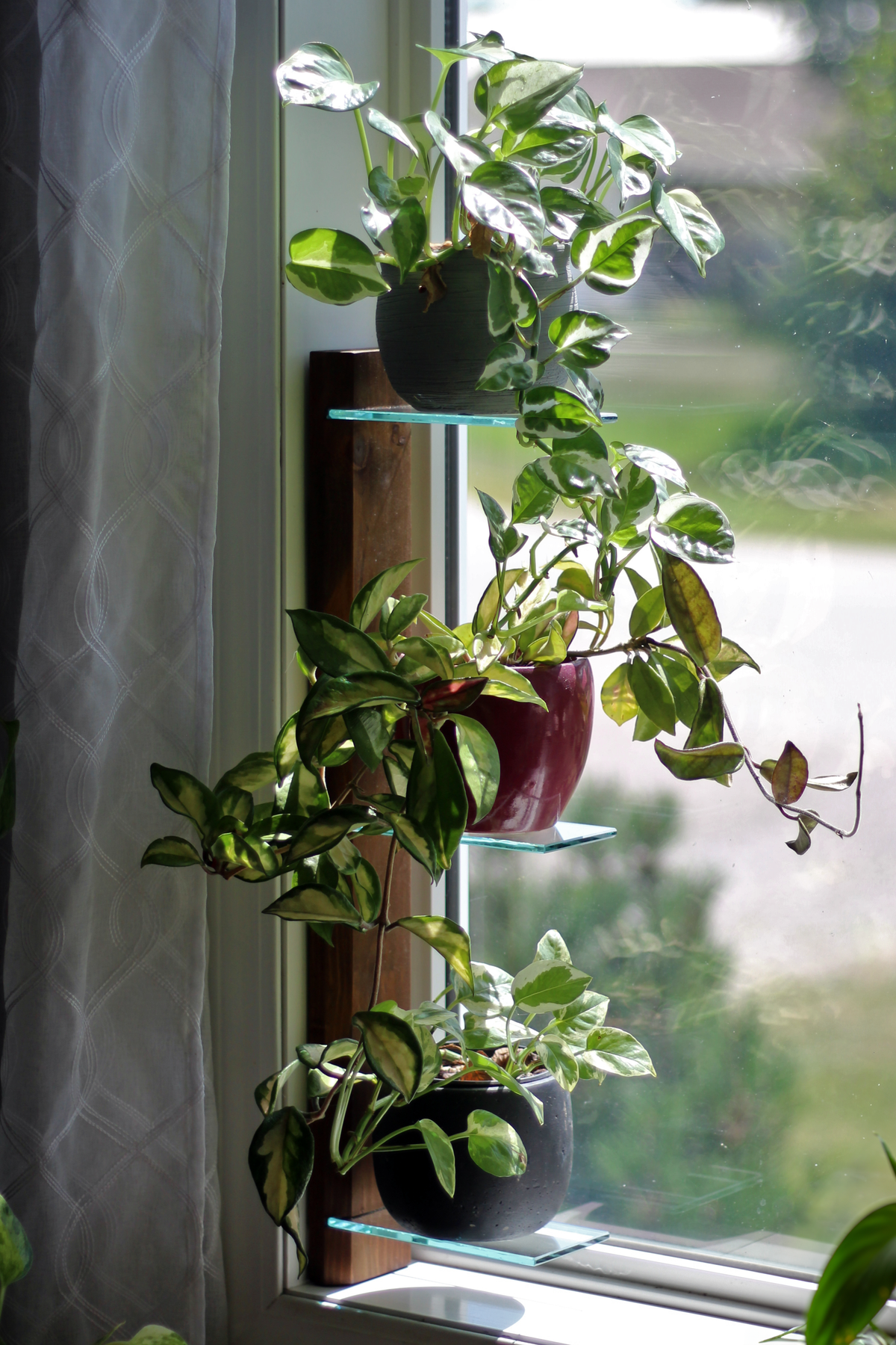 Window Shelf – Handmade, Renter-Friendly Plant Solution – Daniel's Plants