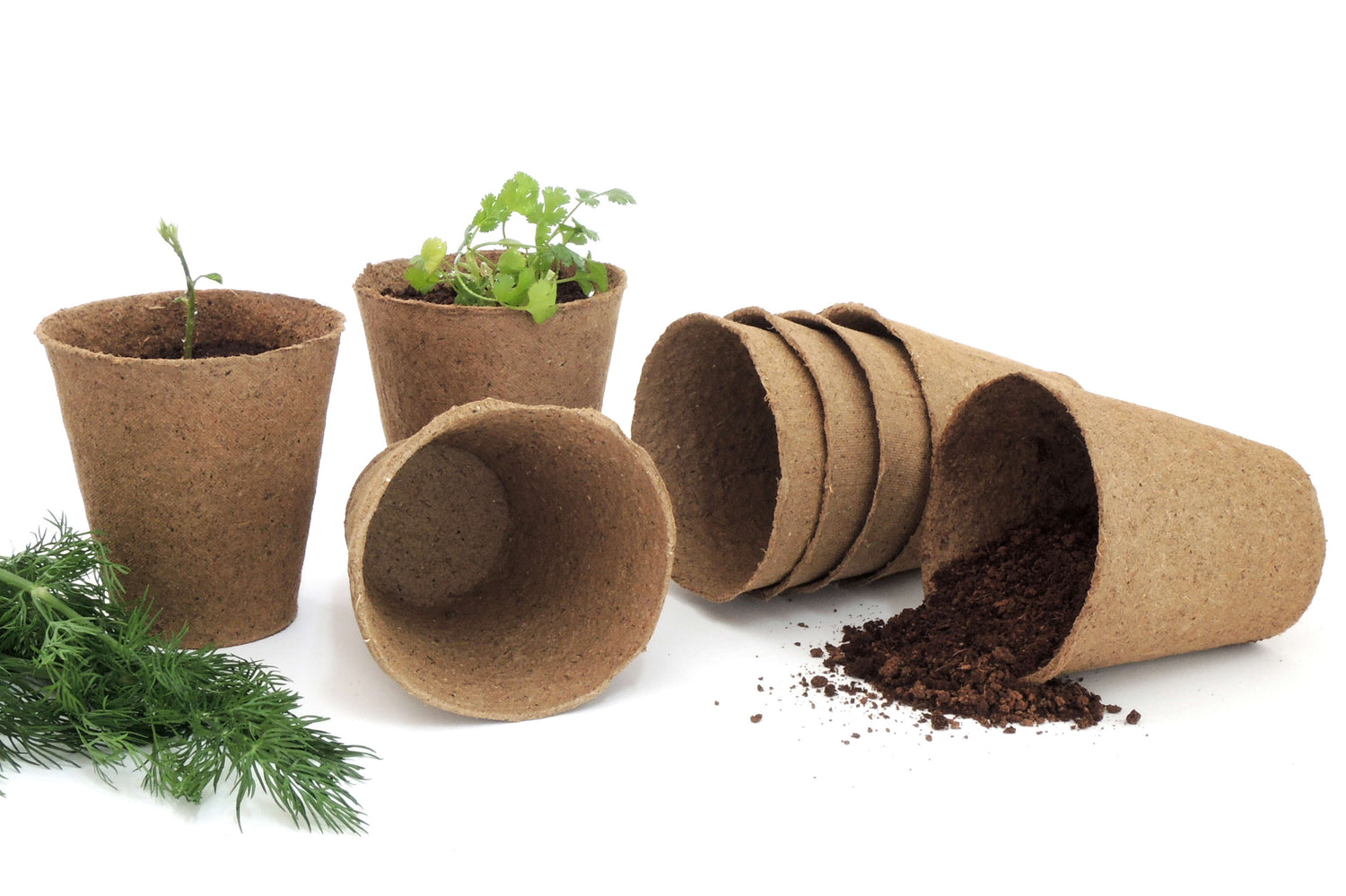 3&quot; Naked Pots | Plantable Seed Starter Pots - Organic &amp; Biodegradable