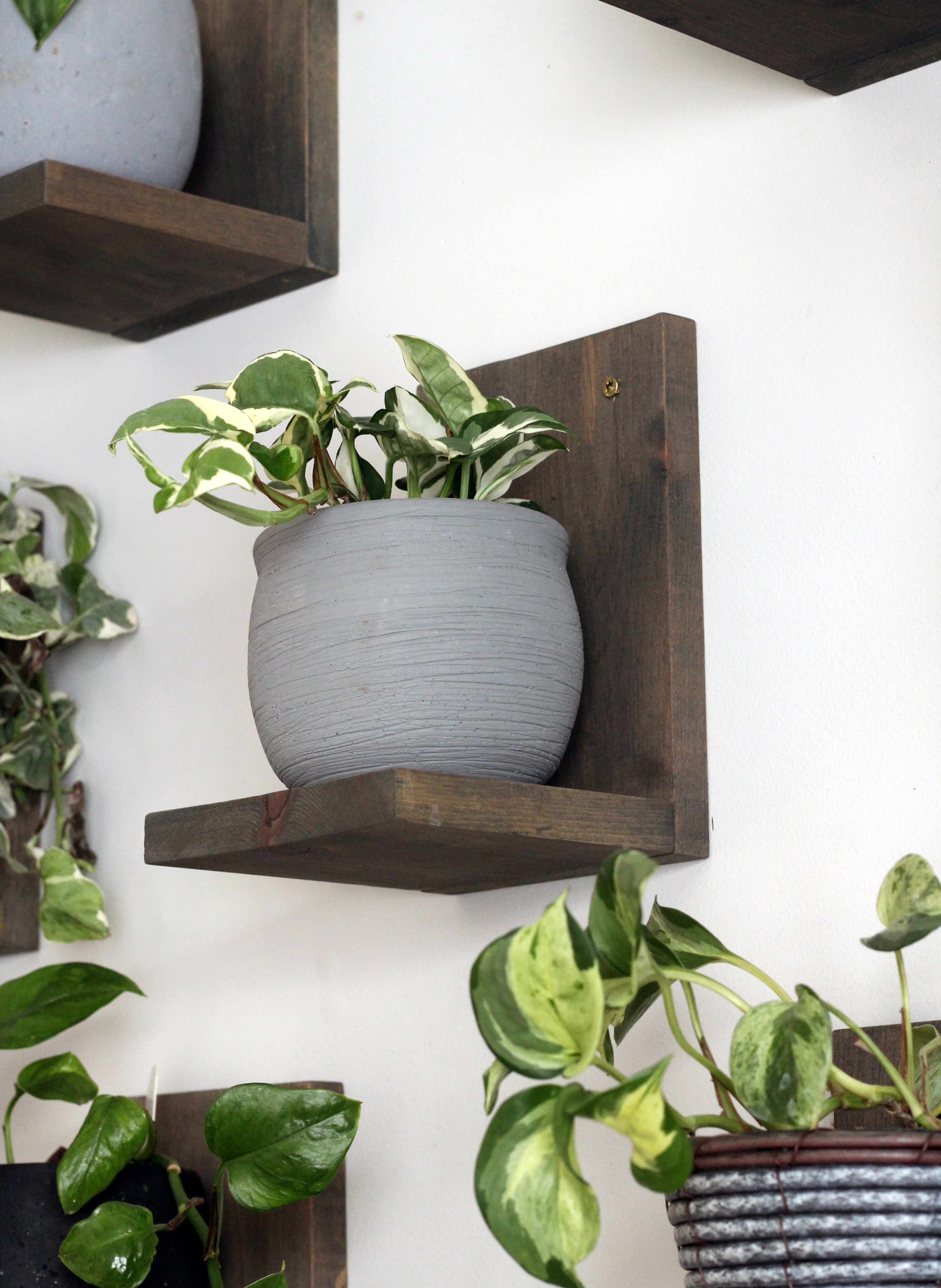 hanging plant shelves Dusk Grey Plant Shelves: Showcase Your Plants with Elegance